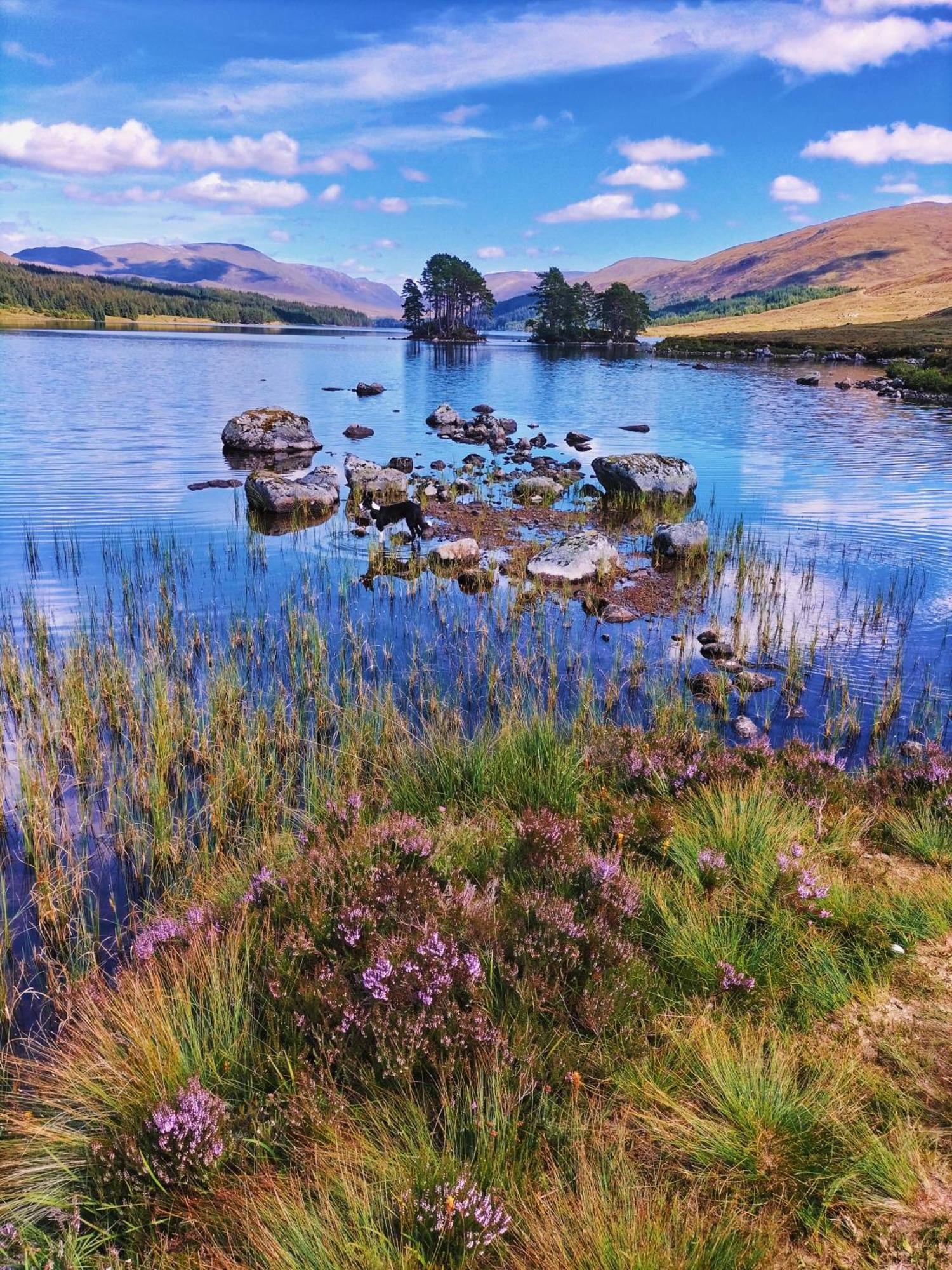 Glenfinnan Retreats ภายนอก รูปภาพ